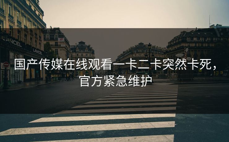 国产传媒在线观看一卡二卡突然卡死，官方紧急维护