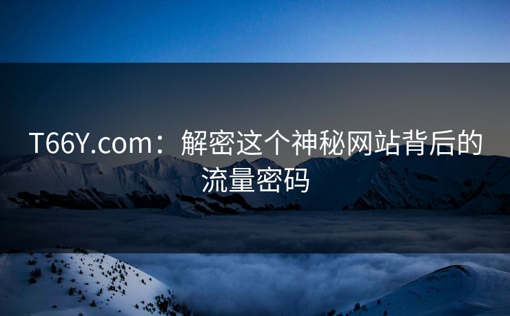 T66Y.com:解密这个神秘网站背后的流量密码 T66Y.com:解密这个神秘网站背后的流量密码