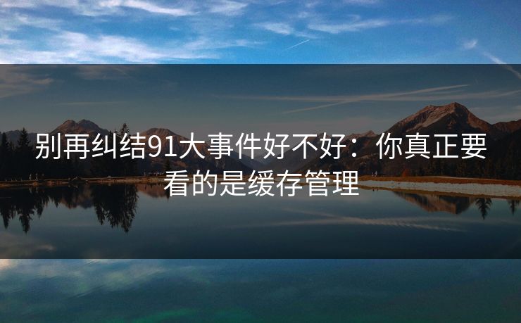 别再纠结91大事件好不好：你真正要看的是缓存管理